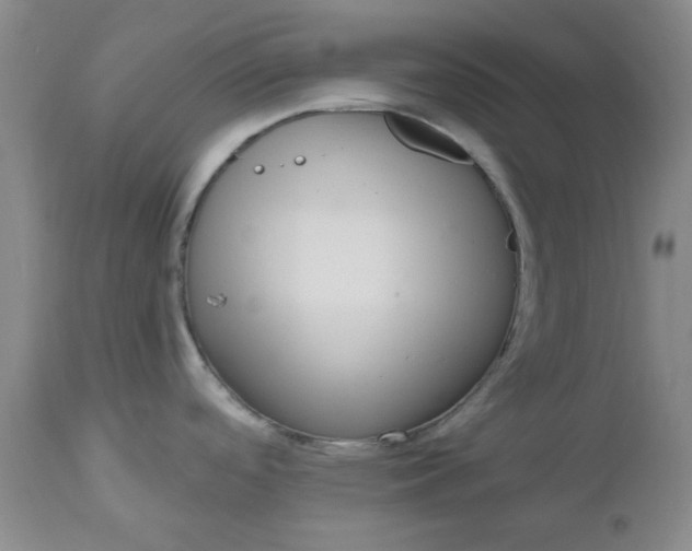 X0000112521488200908311345