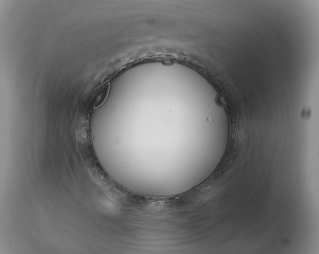 X0000112521490200908311344