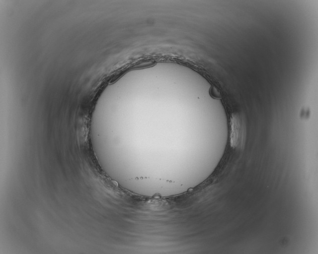 X0000112521491200908311344