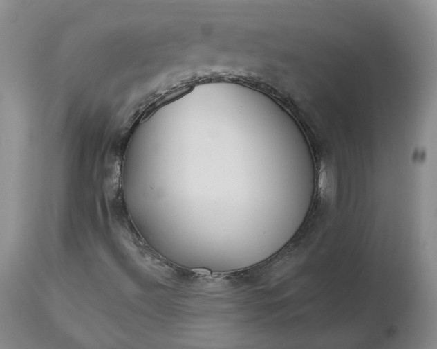 X0000112521492200908311344