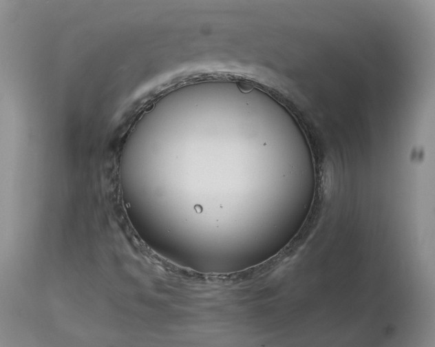 X0000112521494200908311344