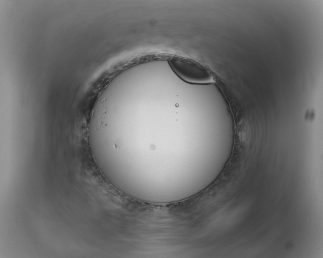 X0000112521495200908311344