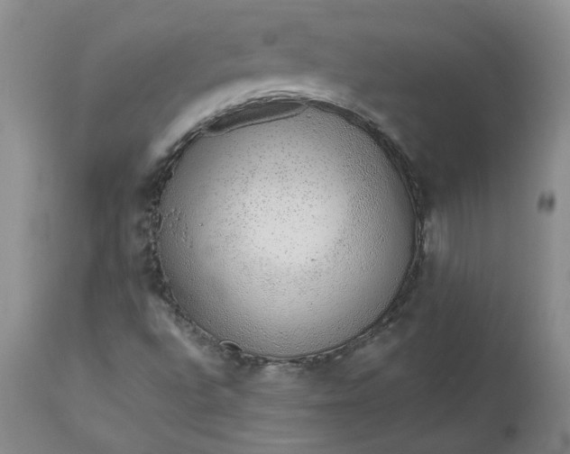 X0000112521496200908311344