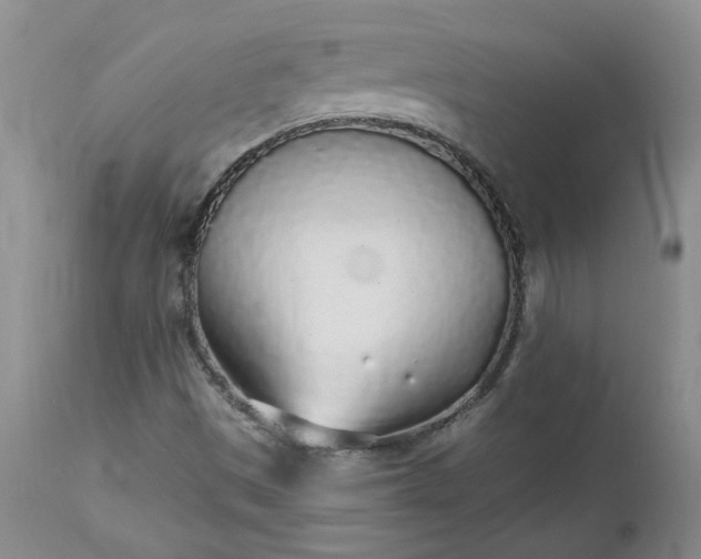 X0000112521497200908311344