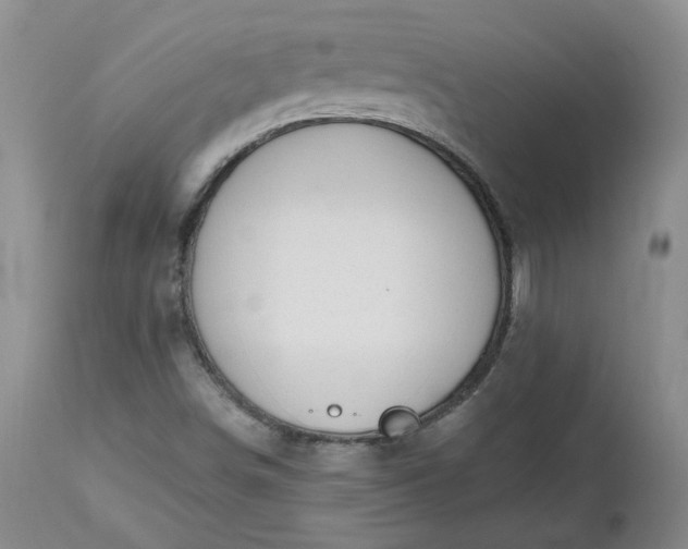 X0000112521498200908311344