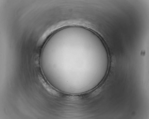X0000112521499200908311344