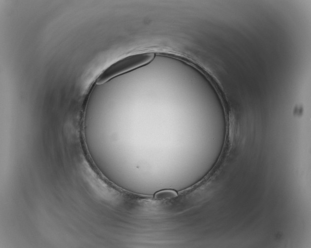 X0000112521500200908311344