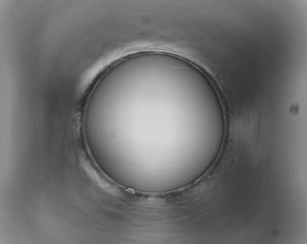 X0000112521503200908311344