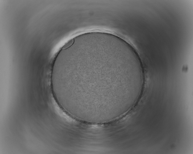 X0000112521504200908311344