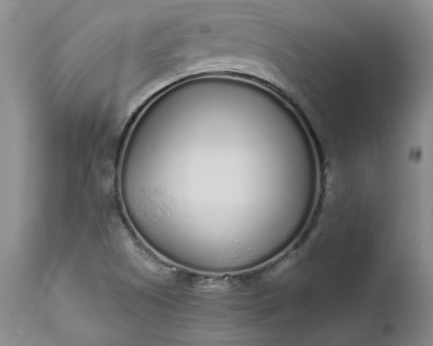 X0000112521505200908311344