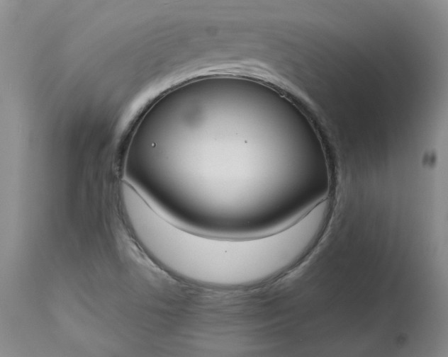 X0000112521506200908311344