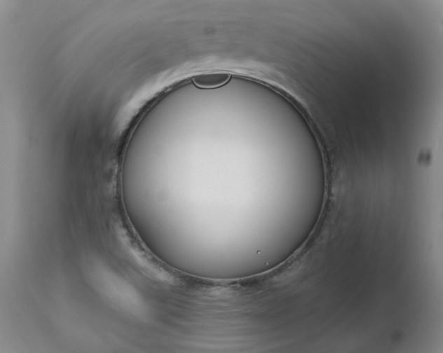 X0000112521507200908311345