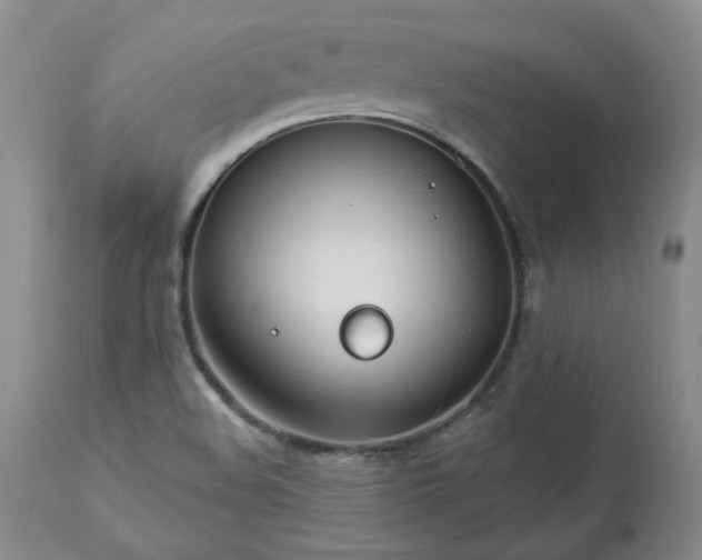 X0000112521508200908311345