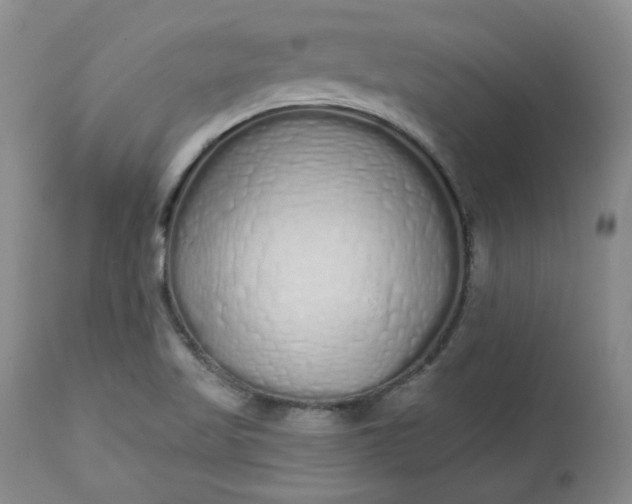X0000112521509200908311345