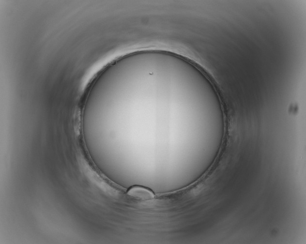 X0000112521510200908311345