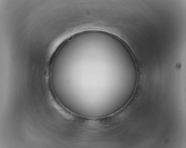 X0000112521511200908311345