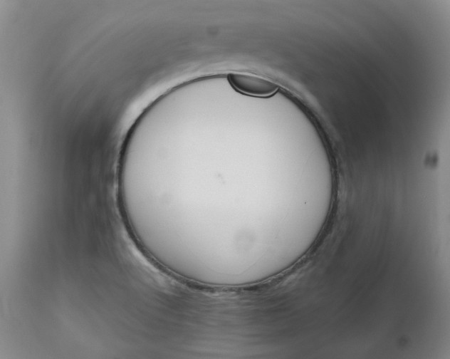 X0000112521512200908311345