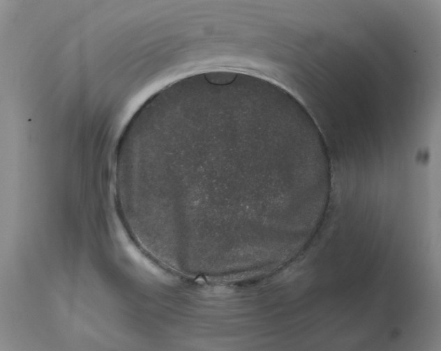X0000112521515200908311345