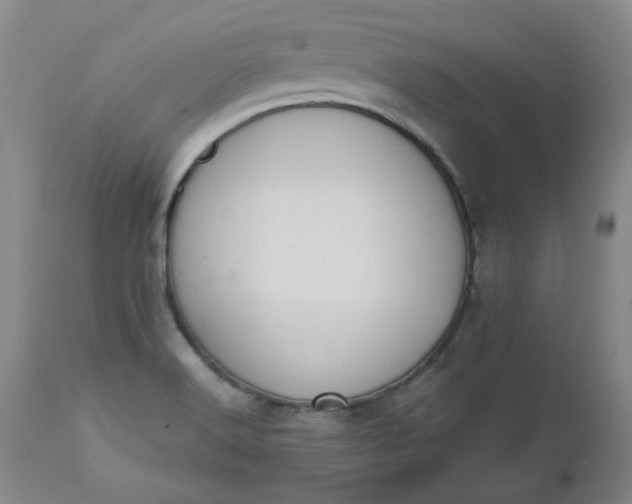 X0000112521516200908311345