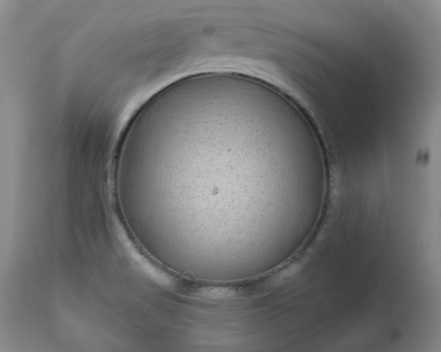 X0000112521517200908311345