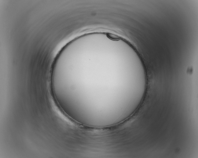 X0000112521518200908311345