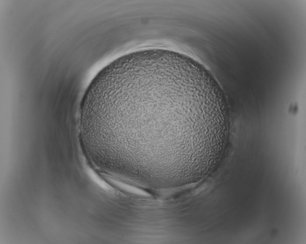 X0000112521519200908311345
