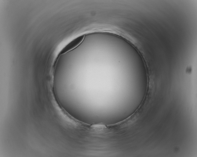 X0000112521520200908311345