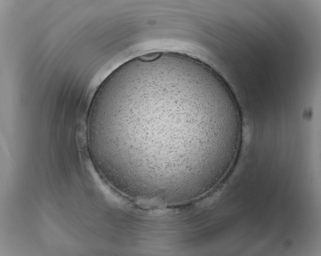 X0000112521521200908311345