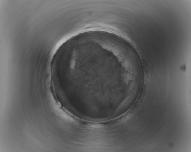 X0000112521522200908311345