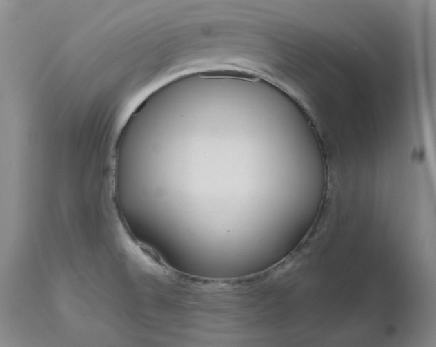 X0000112521524200908311345