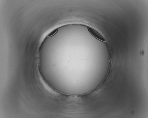 X0000112521526200908311345