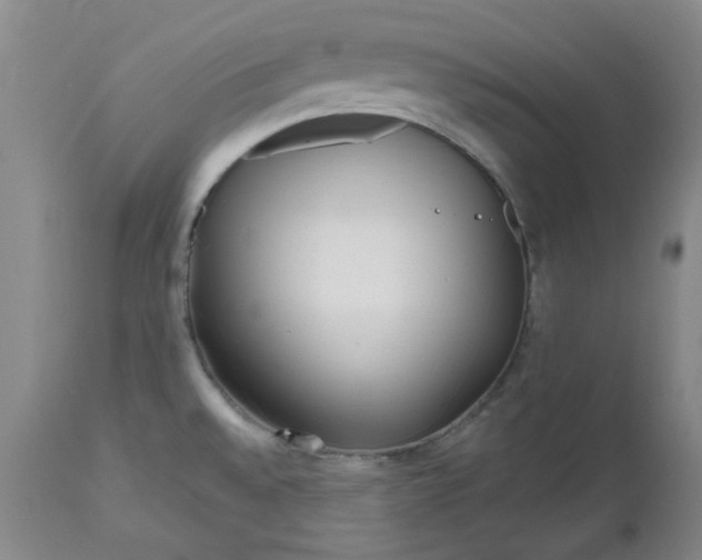 X0000112521528200908311345