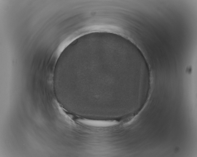 X0000112521529200908311345