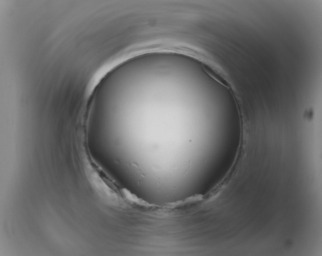 X0000112521530200908311345
