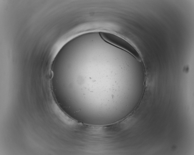 X0000112521532200908311345