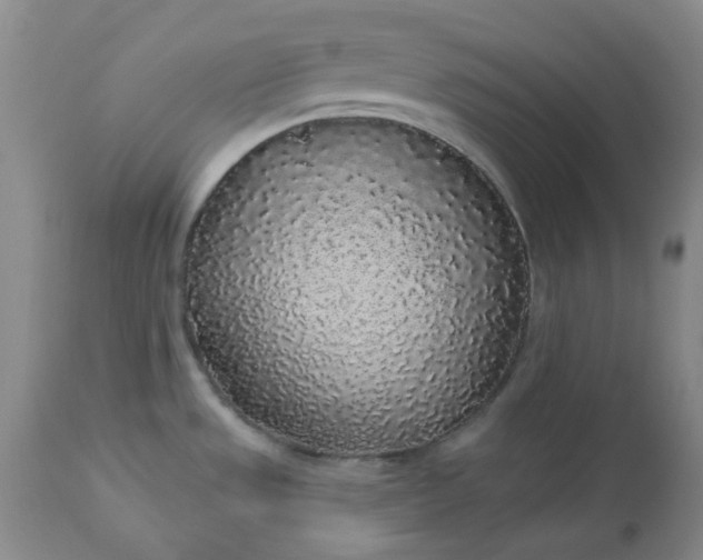 X0000112521533200908311345