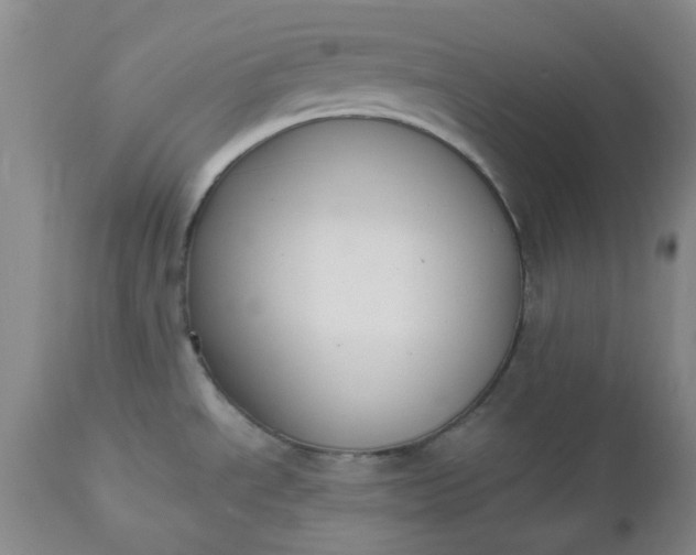 X0000112521534200908311345
