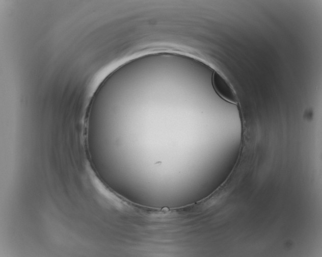 X0000112521535200908311345