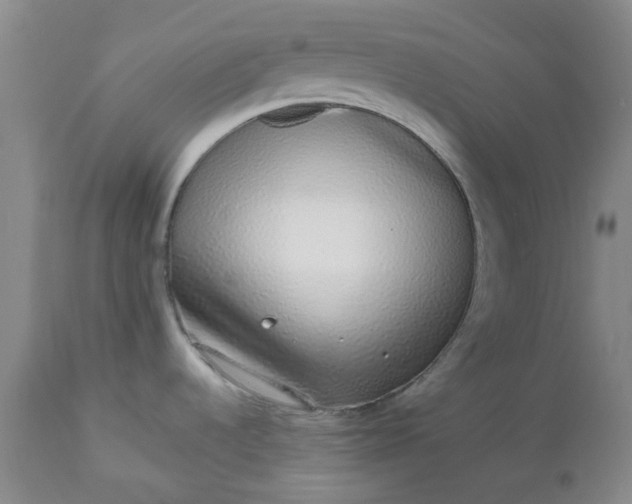X0000112521536200908311345