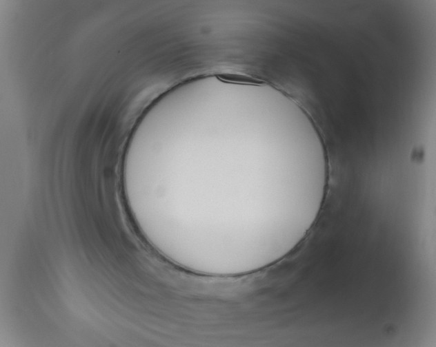 X0000112520001200909071345