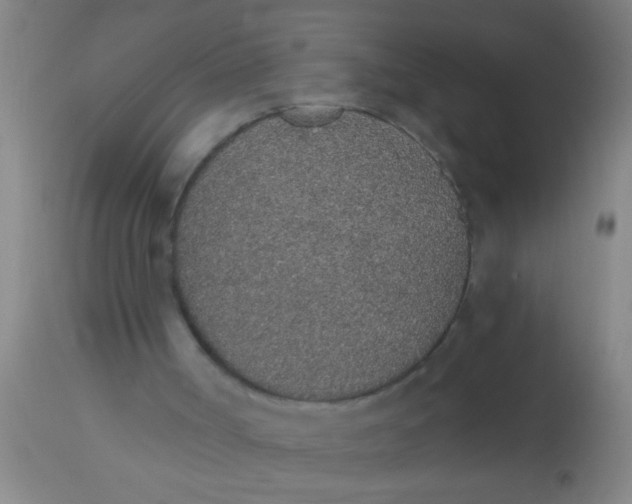 X0000112520002200909071345