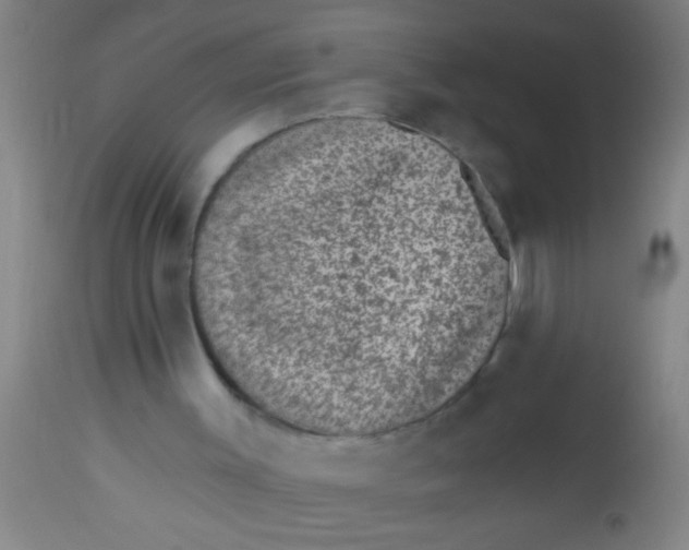 X0000112520003200909071345