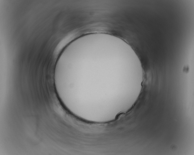 X0000112520004200909071345
