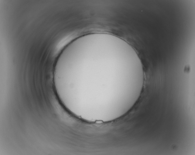 X0000112520005200909071345