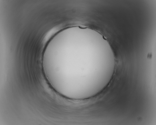 X0000112520006200909071345