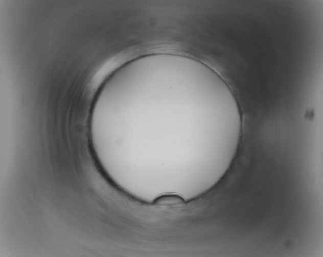X0000112520007200909071345