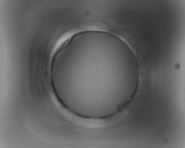 X0000112520008200909071345