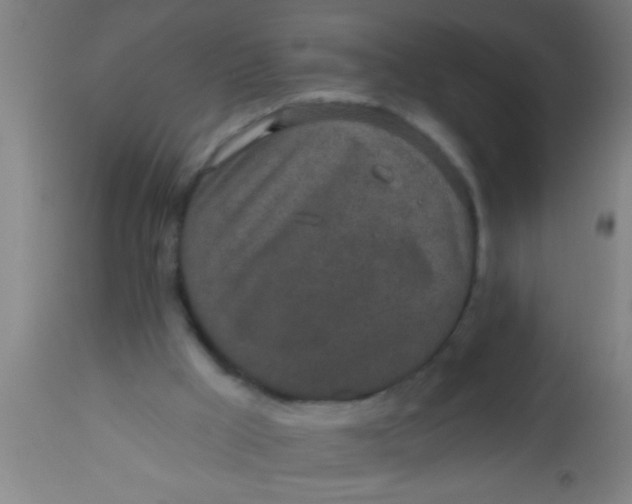X0000112520009200909071345