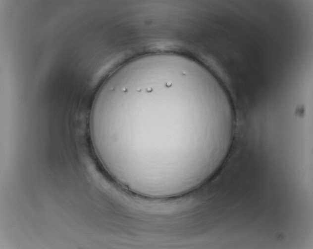 X0000112520010200909071345
