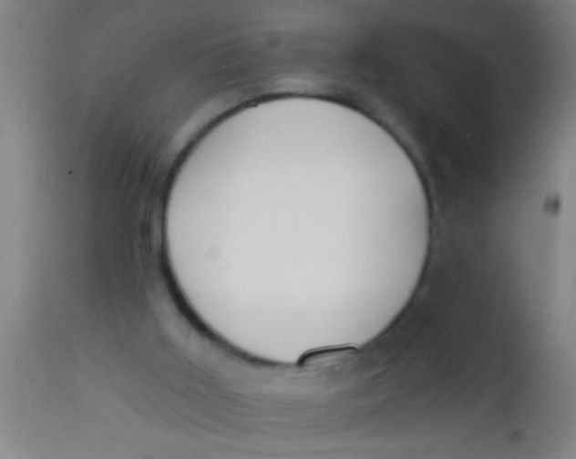 X0000112520011200909071345